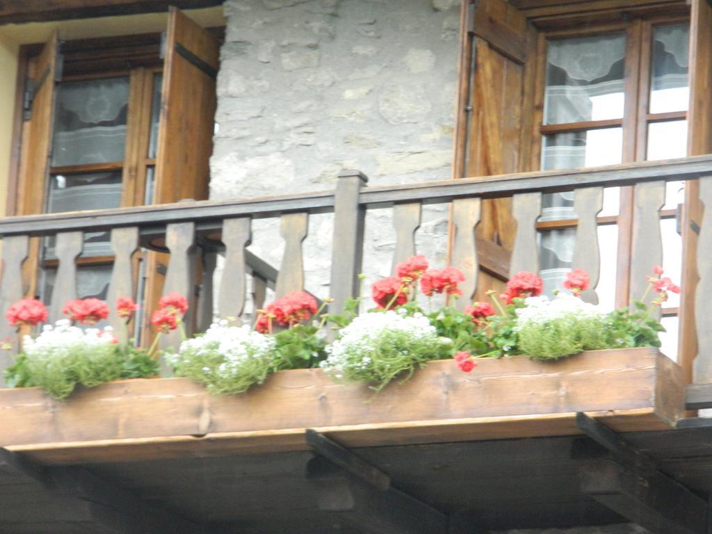 Cav Emile Rey Courmayeur